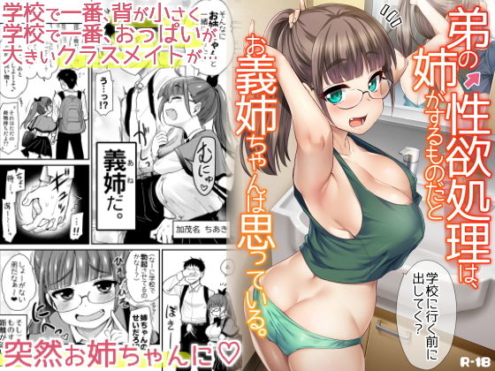 『弟の性欲処理は、姉がするものだと お義姉ちゃんは思っている。』同い年のロリ巨乳義姉が弟の性欲を満たそうと迫ってくるエロ漫画真・聖堂☆本舗 表紙